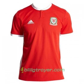 Billige Fotballdrakter Wales Hjemmedraktsett 2018